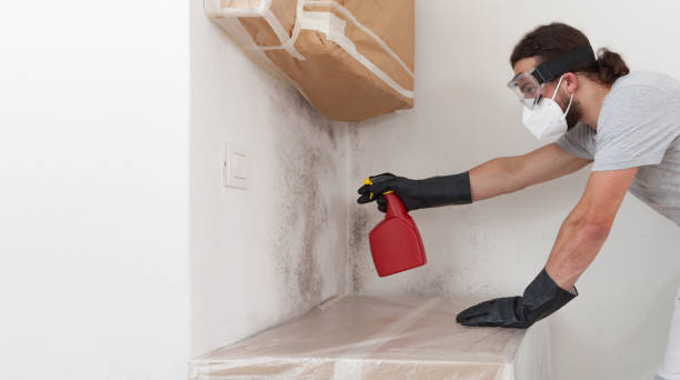 Professional Attic Mold Remediation technician working in Oakdale, NY